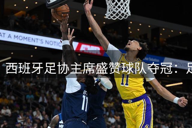 西班牙足协主席盛赞球队夺冠：足球正义终得彰显